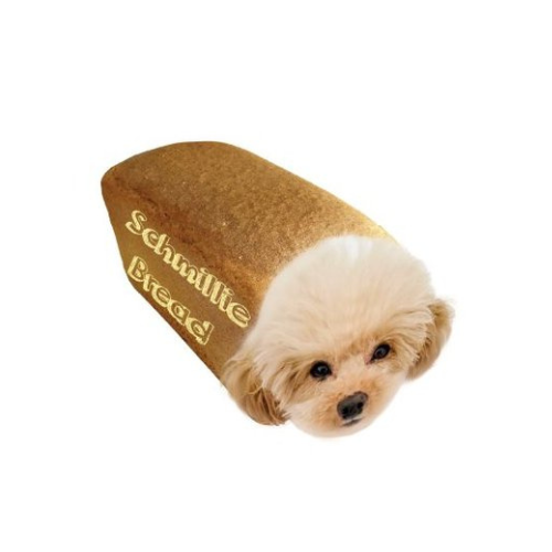 Schmillie the Poodle