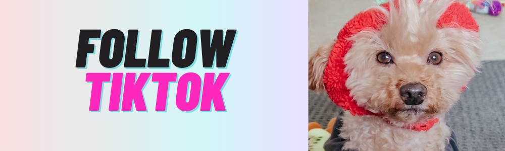 Follow Schmilliepoo on TikTok